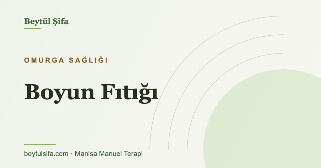Boyun fıtığı nedir ve manuel terapi - Beytül Şifa Manisa